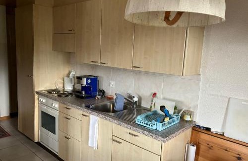 Rosswald Apartment | Chalet Pulsatilla