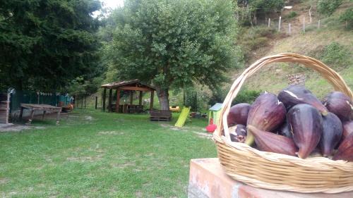 Lamezia Terme Bed & Breakfast | Chalet Reventino tretrenove seiseiquattroseiduezeronove