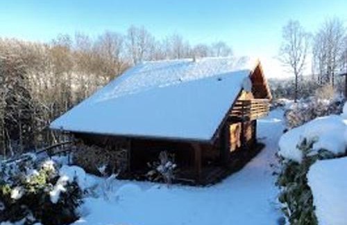 Le Tholy House | Chalet spacieux près de Gérardmer avec terrasse, verger et activités montagne - FR-1-589-121