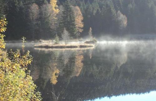 Le Tholy House | Chalet spacieux près de Gérardmer avec terrasse, verger et activités montagne - FR-1-589-121
