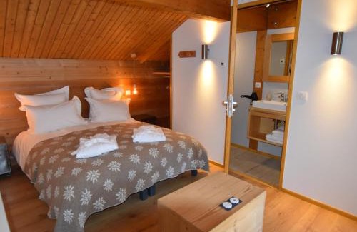 Le Chinaillon Ski Chalet | Chalet spacieux, skis aux pieds avec sauna, jacuzzi et salle de sport, proche centre et pistes - FR-1-467-68