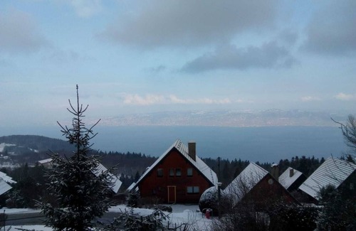 Thollon-les-Memises Ski Chalet | Chalet with fabulous view of Lake Geneva close to Piste and Telecabin