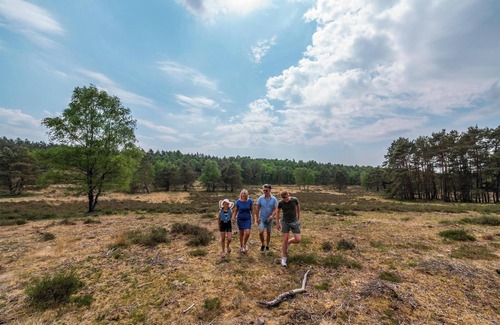 Schaarsbergen House | Chalet with 2 bedrooms and a terrace