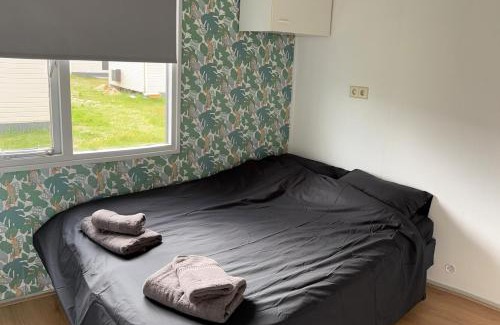 Anloo Ski Chalet | Chalet with nice garden in Anloo