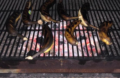 Valpaja Bed & Breakfast | Chalet Zen