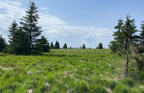 Jalhay Villa | Chalhay