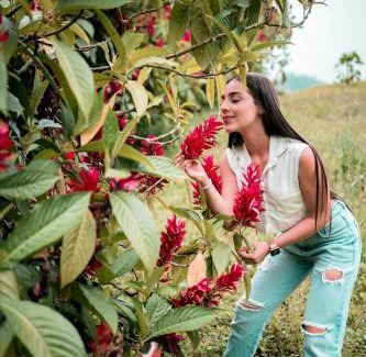 Manizales House | Chamí Glamping