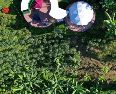 Manizales House | Chamí Glamping