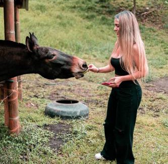 Manizales House | Chamí Glamping