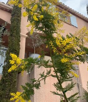 Chateau-Arnoux-Saint-Auban House | Chambre "tendresse" dans maison provençale chez l'habitant
