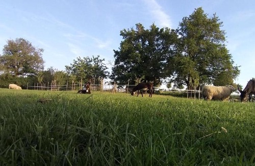 Fougere House | CHAMBRE 2 PERSONNES DEPLACEMENTS TRAVAIL