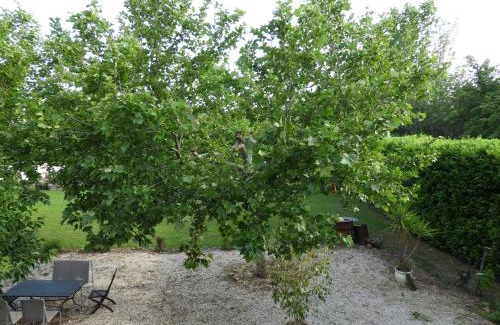 Saint-Martin-de-Crau Bed & Breakfast | Chambre au calme chez des particuliers