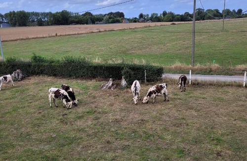 Biville-la-Baignarde House | Chambre chez l'habitant 1