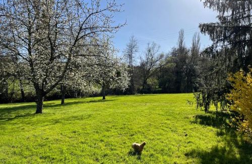 Bissey-sous-Cruchaud Bed & Breakfast | Chambre d'hôtes de l'Angeline
