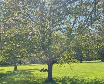 Bissey-sous-Cruchaud Bed & Breakfast | Chambre d'hôtes de l'Angeline