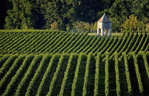 Savignac-de-l'Isle Bed & Breakfast | Chambre d'hôte Ô Fil De L'isle