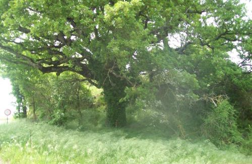 Forcalquier Bed & Breakfast | Chambre d'hôtes La Margotte