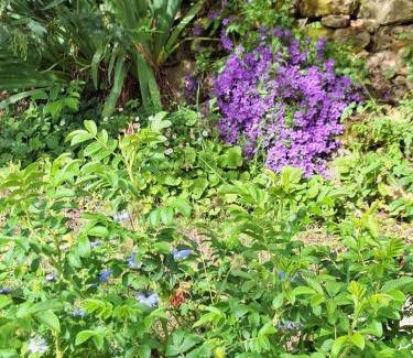 Cadouin Bed & Breakfast | Chambre d'Hôtes Les Bruyères