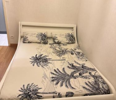 Fleury-les-Aubrais House | Chambre double chez habitant