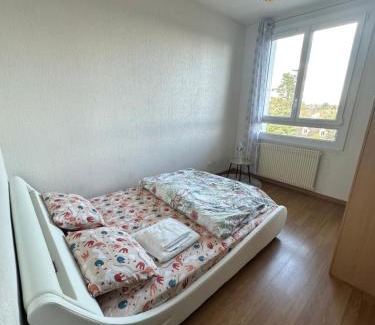 Fleury-les-Aubrais House | Chambre double chez habitant