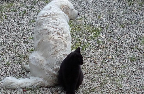 Alles-sur-Dordogne House | Chambre indépendante au calme