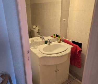 Les Avenieres-Veyrins-Thuellin House | Chambre indépendante