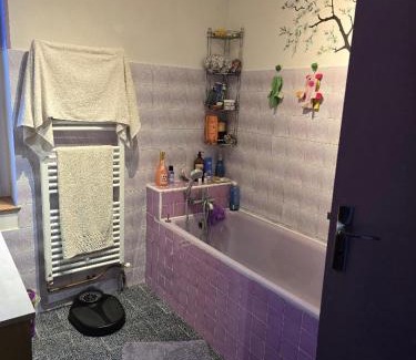 Les Avenieres-Veyrins-Thuellin House | Chambre indépendante