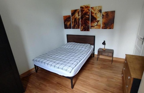 Gien House | Chambre jungle en colocation