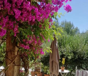 Allauch House | Chambre lumineuse, calme absolu