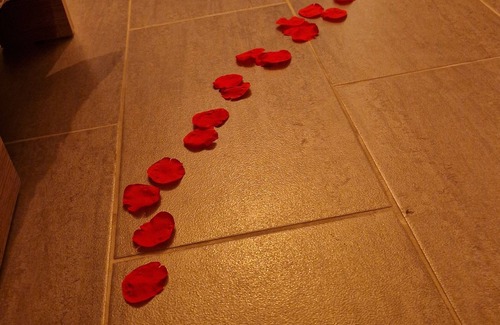 Montolivet Apartment | Chambre Miroir à 5 Minutes à Pied du Dôme de Marseille