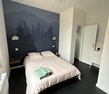 Remiremont House | Chambre privée Au pied des Vosges entrée et terrasse privatives, proche gare et centre-ville