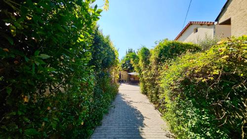 Stains Apartment | Chambre privée dans logement partagé, Moon Ray Paris & Stade de France