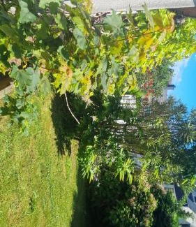 Saint-Pierre House | Chambre privée dans Maison au Quartier Calme