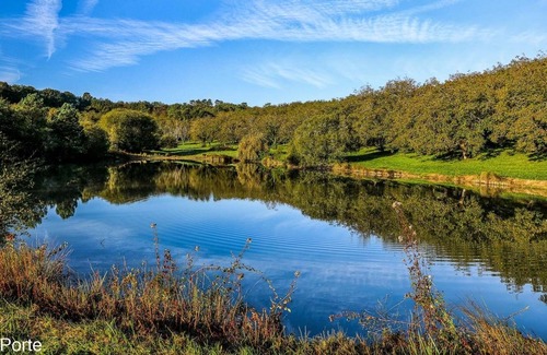 Agonac Bed & Breakfast | Chambre Saly in the Périgord Vert near Brantôme, Little Venice