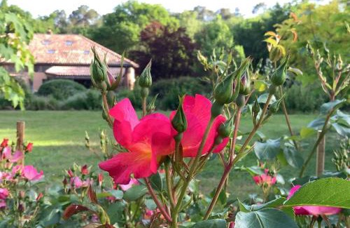 Pontonx-sur-l'Adour Bed & Breakfast | Chambres d'hôtes à Pontonx