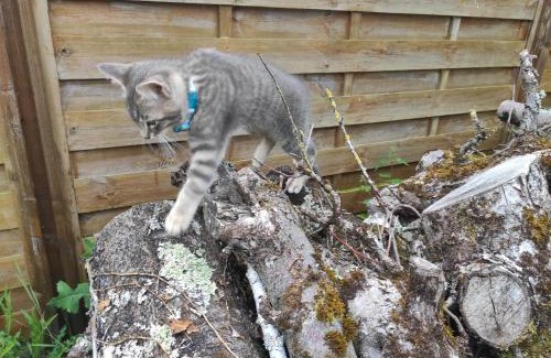 Semblancay Bed & Breakfast | Chambres d'hôtes La Ferme du Grand Launay