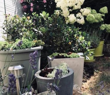 Douai Bed & Breakfast | Chambres d'Hôtes Les Foulons