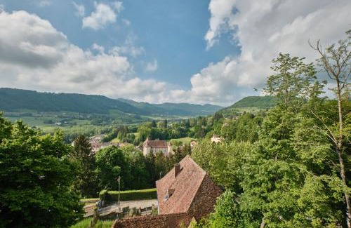 Saint-Geoire-en-Valdaine House | Chambres au Chateau Saint-geoire
