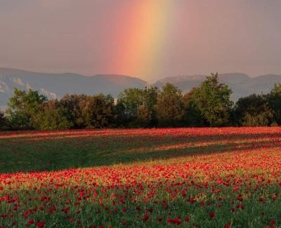 Rognes Bed & Breakfast | Chambres tomate, dans maison avec petit escalier à 6km du festival de piano de la roque d'anthéron