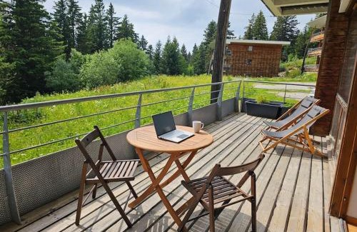 Chamrousse Apartment | Chamrousse, 50m piste, wifi +, terrasse vue sapins