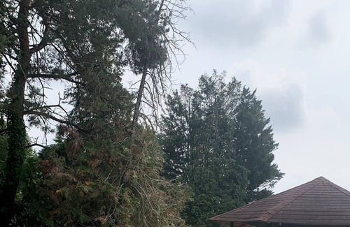 Jupilles Cottage | CHARACTER GITE CAPACITY 14 PEOPLE