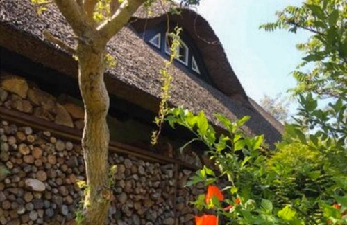 Ribnitz-Damgarten Apartment | Charlottes Landlust - Künstlerhaus