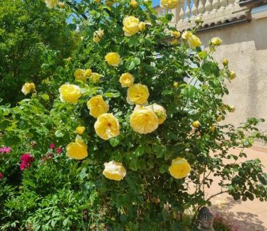 Saint-Michel-l'Observatoire House | Charmant petit havre de paix