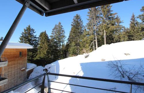 Chamrousse Apartment | Charmant 2 pièces proche pistes avec balcon et animaux admis - FR-1-549-98
