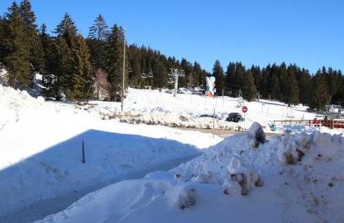 Chamrousse Apartment | Charmant 2 pièces proche pistes avec balcon et animaux admis - FR-1-549-98