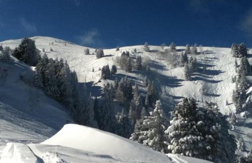 Chamrousse Apartment | Charmant 2 pièces proche pistes avec balcon et animaux admis - FR-1-549-98