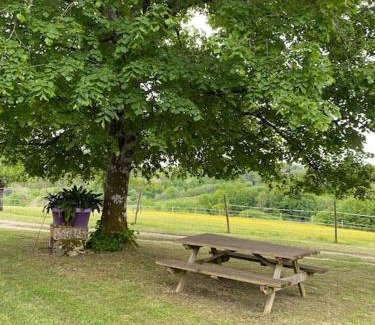 Sencenac-Puy-de-Fourches House | CHARMANT LOGEMENT ENTIER A LA CAMPAGNE