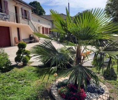 Sencenac-Puy-de-Fourches House | CHARMANT LOGEMENT ENTIER A LA CAMPAGNE
