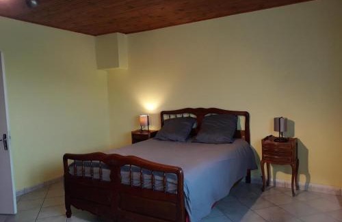 Saint-Victor-sur-Rhins House | Charmant gîte avec jardin, animaux admis, proche Roanne - FR-1-496-233