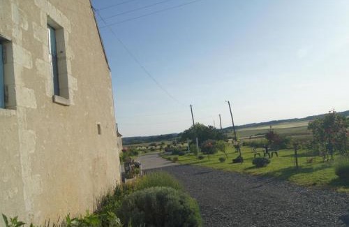 Chedigny House | Charmant Gîte en Touraine, Jardin Privatif, 3 Chambres - FR-1-381-121